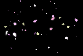 电影开场特效flash动画